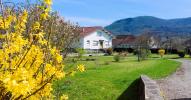 Vente Maison Luxeuil-les-bains 5 pieces 130 m2