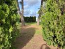 Vente Terrain Saint-andre-de-sangonis 700 m2