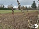 Vente Terrain Bourges 1765 m2