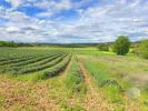 Vente Terrain Saint-montan 1800 m2
