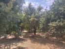 Vente Terrain Marges 440 m2