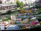 Vente Appartement Isle-sur-la-sorgue 100 m2