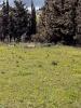 Vente Terrain Maraussan