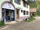Vente Maison Breitenau 10 pieces 259 m2