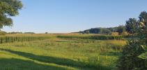 Vente Terrain Rantzwiller 613 m2