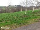 Vente Terrain Ricamarie