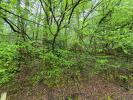 Vente Terrain Tulle 12706 m2