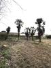 Vente Terrain Sarcelles  1700 m2