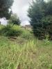 Vente Terrain Gujan-mestras 620 m2