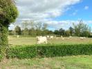 Location Maison Aubigny 6 pieces 191 m2