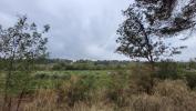 Vente Terrain Rieux-minervois 1500 m2