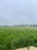 Vente Terrain Baron 565 m2