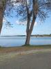 Vente Terrain Parentis-en-born 498 m2