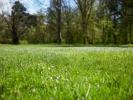 Vente Terrain Cugnaux 520 m2