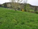 Vente Terrain Saint-didier-au-mont-d'or