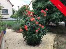 Vente Maison Eckbolsheim 5 pieces 110 m2