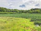 Vente Terrain Saint-montan 1800 m2