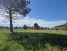 Vente Terrain Lugos 1200 m2