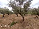 Vente Terrain Pezenas 7000 m2