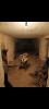 Vente Maison Amboise Rue de mosny 2 pieces 58 m2