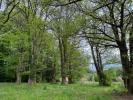 Vente Terrain Chamberet 2355 m2