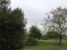 Vente Terrain Lalande-de-pomerol 750 m2