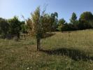 Vente Terrain Abzac 410 m2