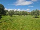 Vente Terrain Paulhan 791 m2