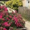 Location Appartement Orly 125 m2