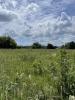 Vente Terrain Lande-de-fronsac 370 m2