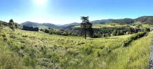 Vente Terrain Bourg-argental 1215 m2