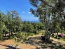 Vente Terrain Grimaud 2505 m2