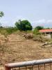 Vente Terrain Vieux-habitants 5000 m2