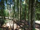 Vente Terrain Saint-germain-des-pres 2663 m2