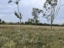 Vente Terrain Trans-sur-erdre 396 m2