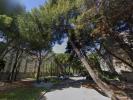 Location Appartement Avignon 2 pieces 32 m2