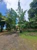 Vente Commerce Baie-mahault 6 pieces 1 m2