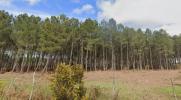 Vente Terrain Brach 500 m2