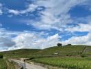 Vente Terrain Larnage CENTRE VILLAGE