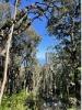 Vente Terrain Brando BRANDO 1562 m2