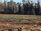 Vente Terrain Salles 1135 m2