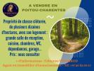 Vente Prestige Bordeaux 4 pieces 360 m2