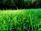 Vente Terrain Traubach-le-bas 350 m2