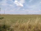 Vente Terrain Saint-laurent-de-la-pree 390 m2