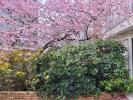 Vente Appartement Brunoy 4 pieces 87 m2