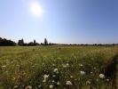 Vente Terrain Chapelle-sur-aveyron 858 m2