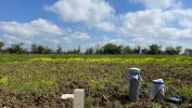 Vente Terrain Haraucourt 515 m2