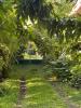 Vente Maison Sainte-rose 3 pieces 165 m2