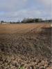 Vente Terrain Verines 300 m2
