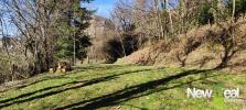 Vente Terrain Serilhac 3924 m2